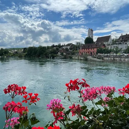 A Knight's Splendid *