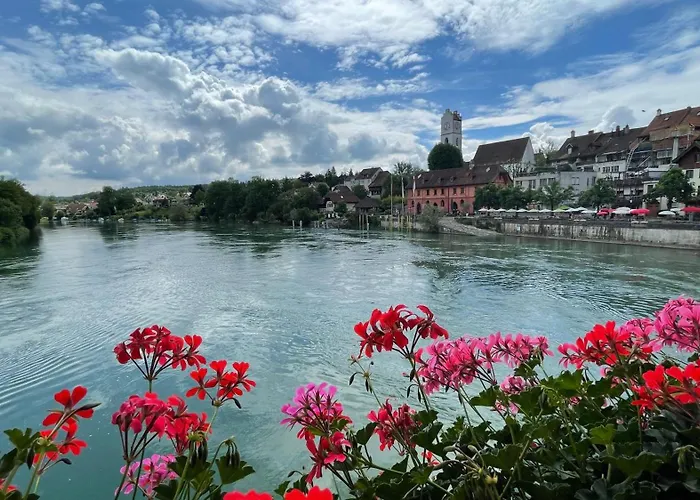 A Knight's Splendid *